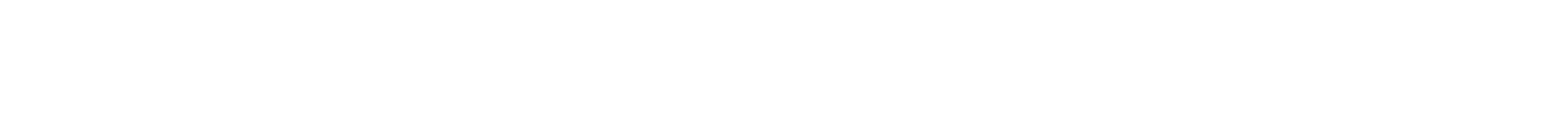 AndesFly